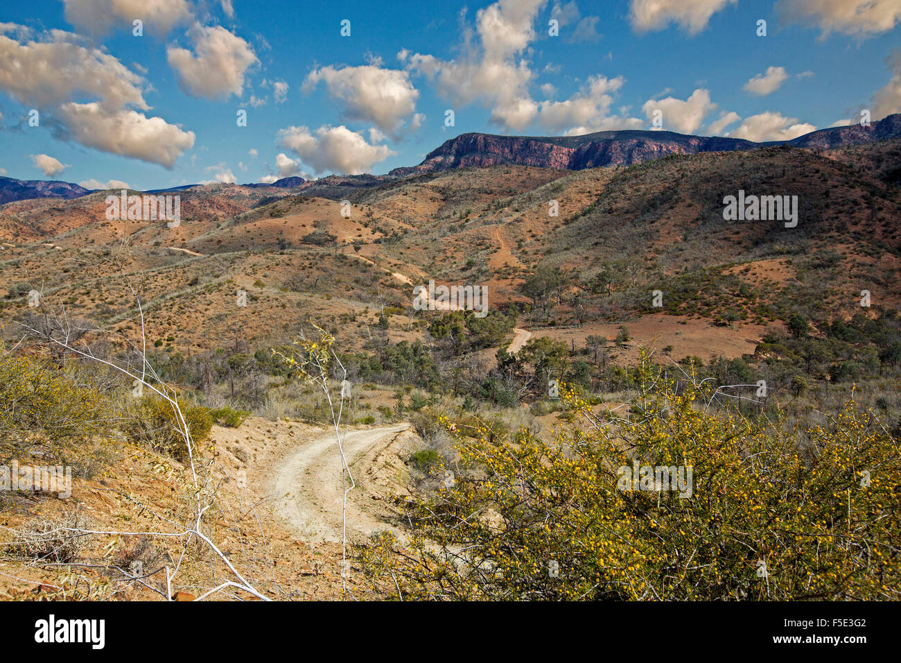 Lange kurvenreiche Straße schlängelt über karge Hügellandschaft von Gammon Ranges National Park unter blauem Himmel im Outback South Australia Stockfoto