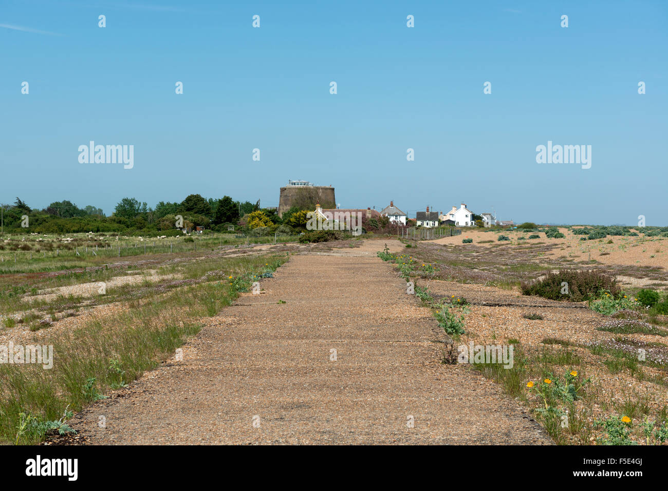 Betonstraße aus dem zweiten Weltkrieg, Shingle Street, Suffolk, UK. Stockfoto