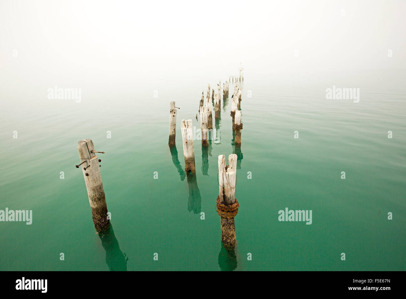 Zeile verwitterte alte Holzpfosten, einst Teil der Steg im Meer der Ruhe türkisblauem Wasser & in Nebel verdeckt Horizont verschwinden Stockfoto