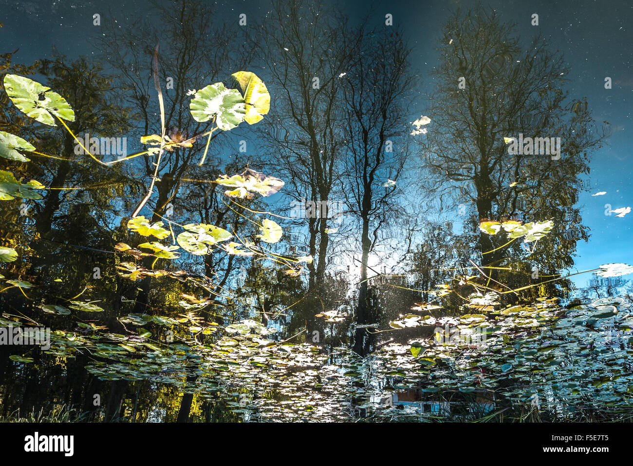 Herbstlandschaft in Reflexion Stockfoto