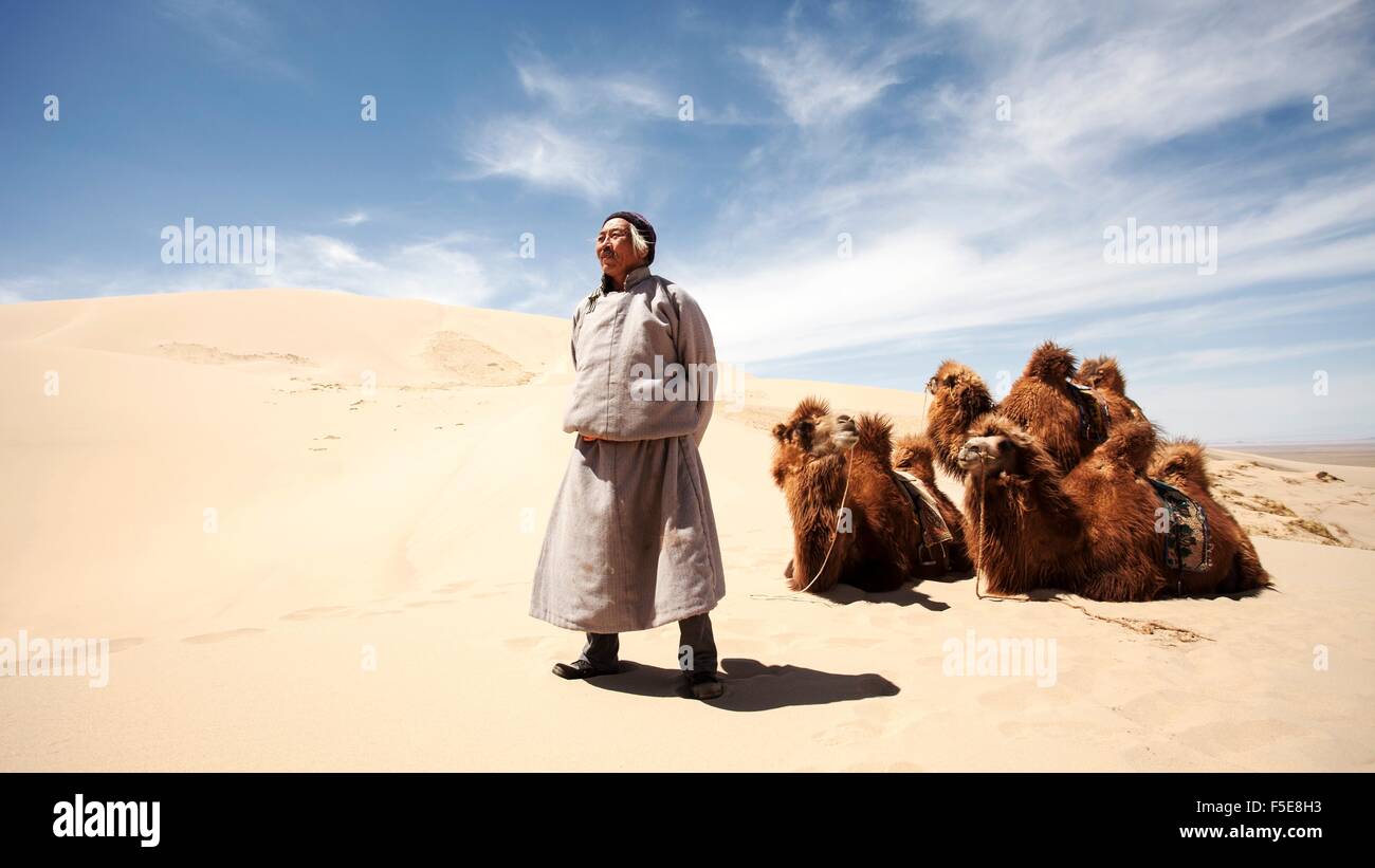 Eine mongolische Kamele Herder steht stolz vor seinem Kamele mitten in den Sanddünen der Wüste Gobi. Mongolei Stockfoto