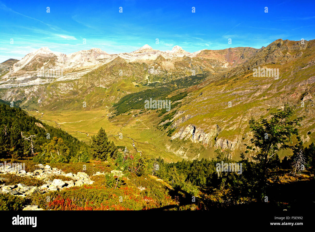 Pyrenäen-Berge erheben sich über das Osseau-Tal, Pyrenees-Atlantiques, Frankreich, Europa Stockfoto