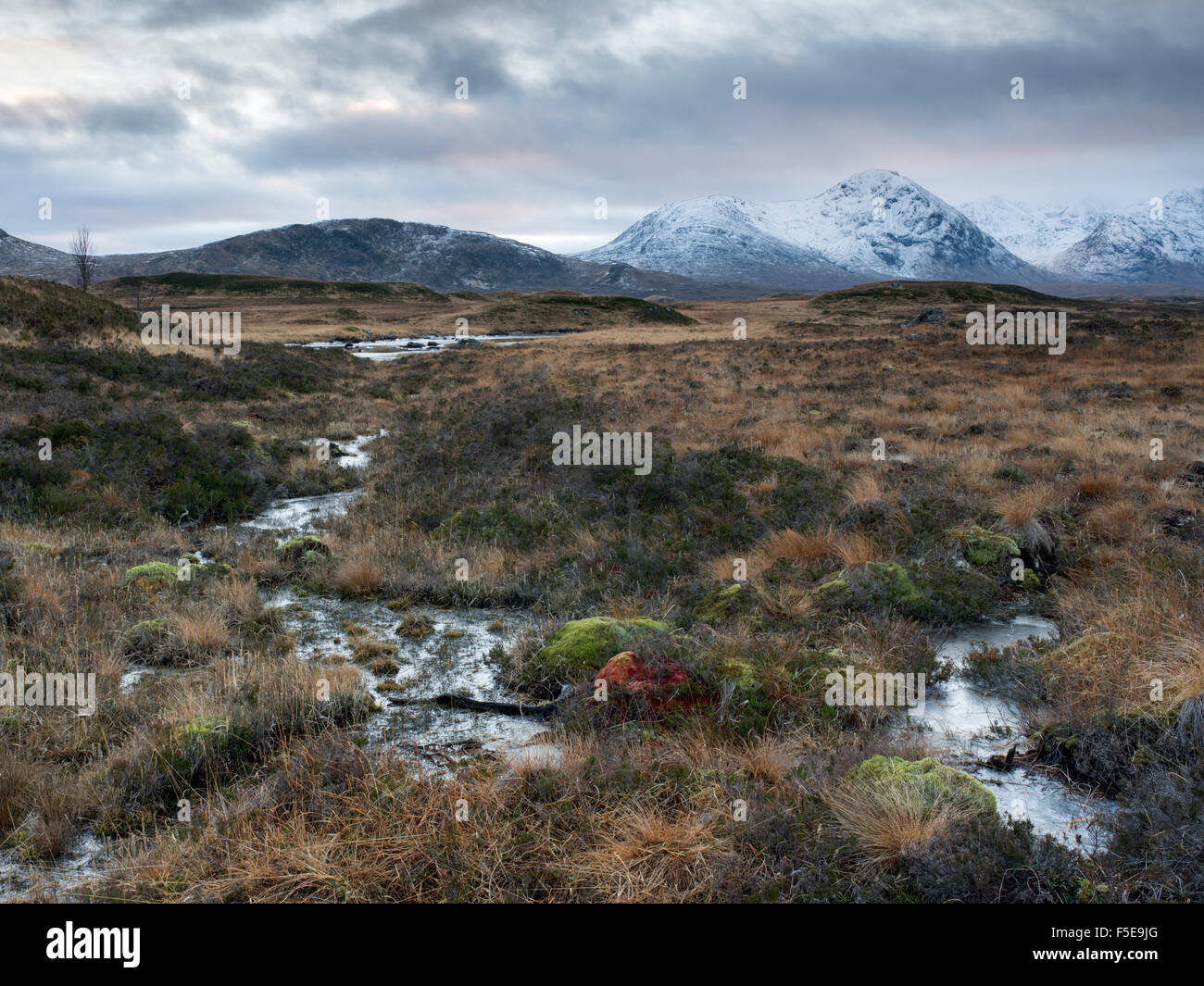 Ein Blick auf die schwarzen montieren und Rannoch Moor, Argyll, Schottland, Vereinigtes Königreich, Europa Stockfoto