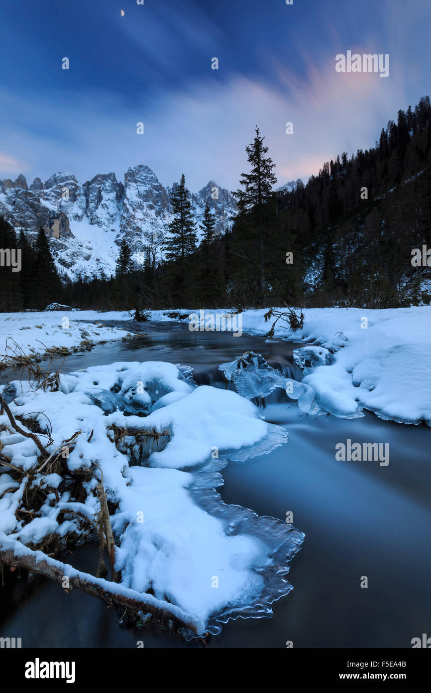 Einen gefrorenen Bach unter einer kalten Winterhimmel, Venagia Tal, Naturpark Panaveggio, Dolomiten, Trentino-Alto Adige, Italien, Europa Stockfoto