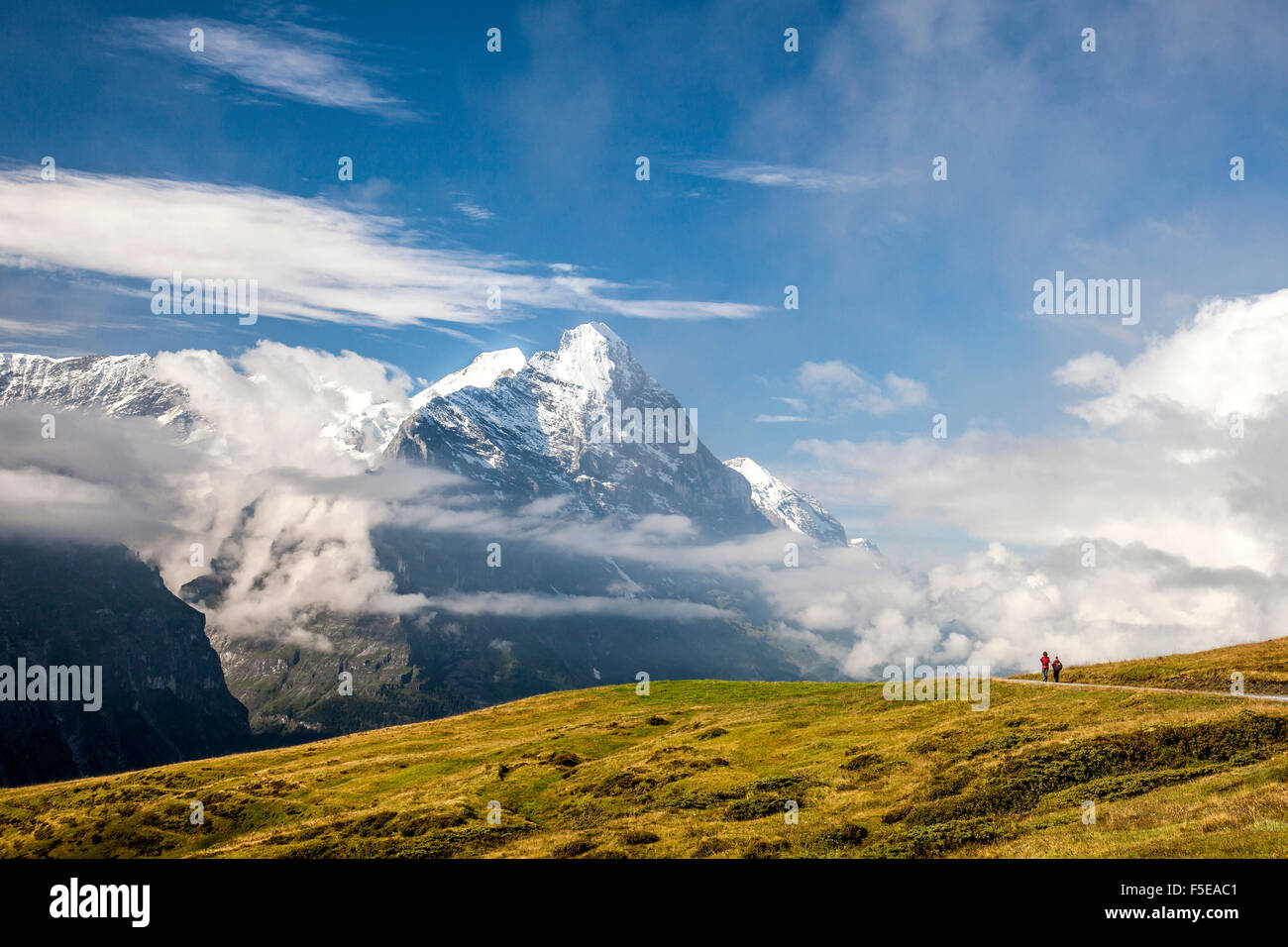 Blick auf Mount Eiger von First, Grindelwald, Berner Oberland, Kanton Bern, Schweizer Alpen, Schweiz, Europa Stockfoto