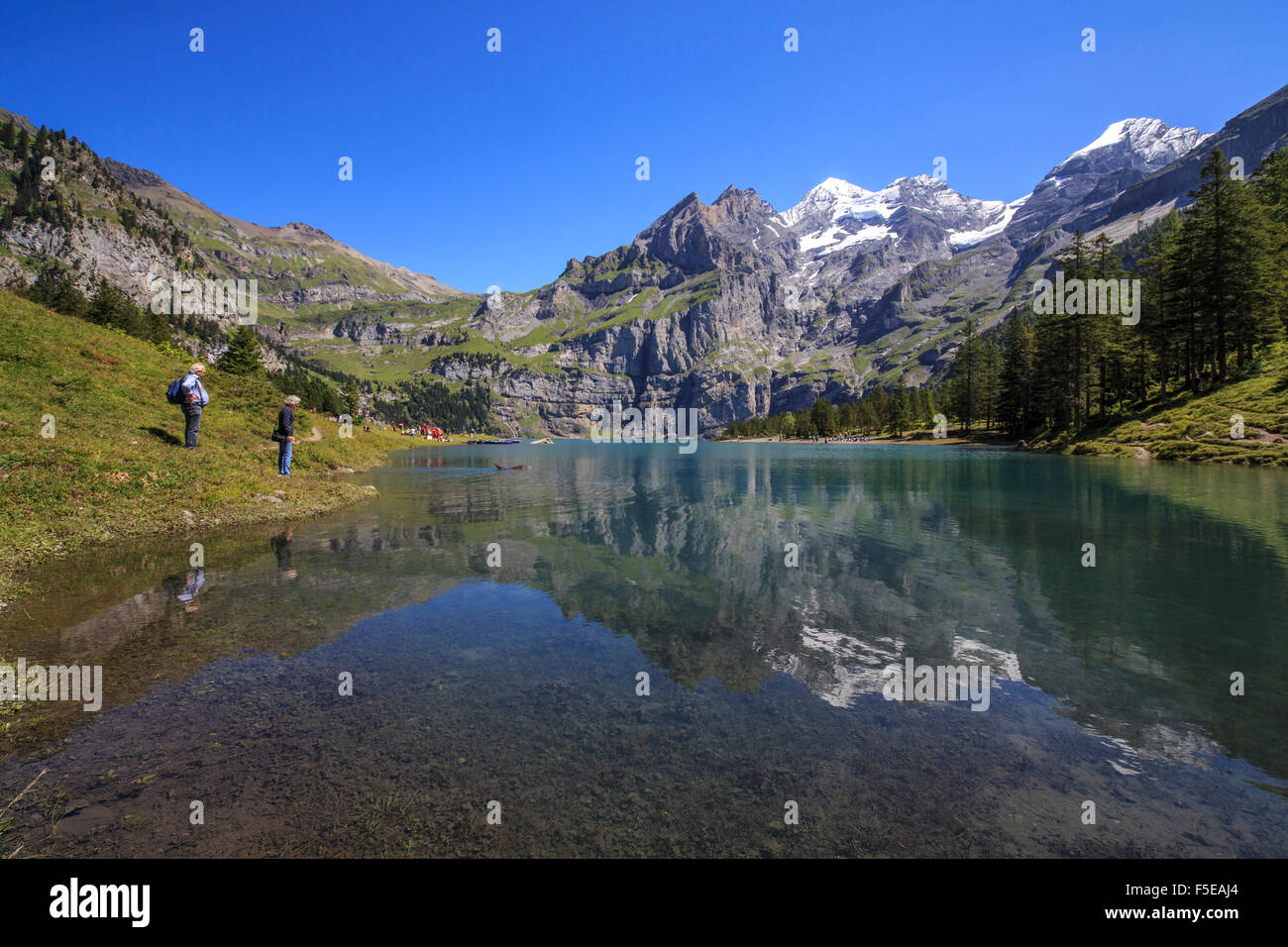 Wanderer zu bewundern, See Oeschinensee, Berner Oberland, Kandersteg, Kanton Bern, Schweiz, Europa Stockfoto