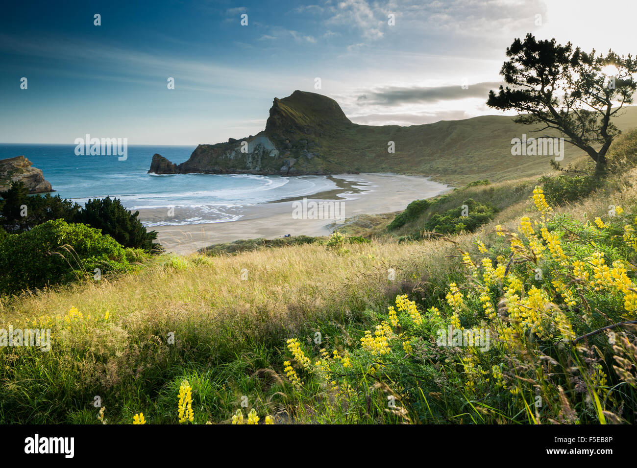 Befreiung-Bucht bei Sonnenuntergang, Nord-Wairarapa, Wairarapa, North Island, Neuseeland, Pazifik Stockfoto