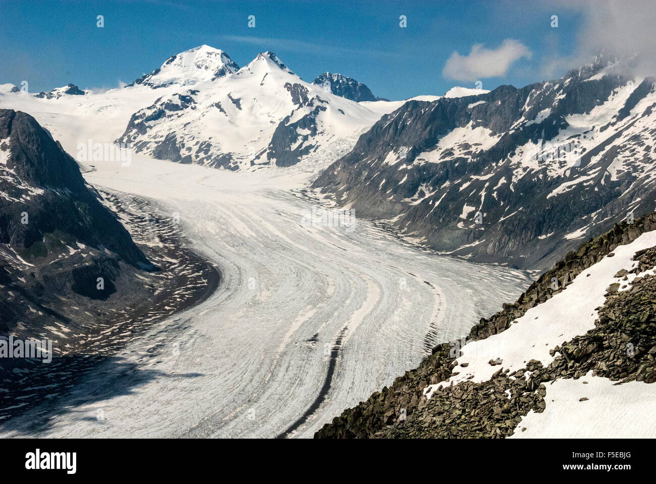 Aletschgletscher und die Jungfrau, gesehen vom Eggishorn, Fiesch, Schweizer Alpen, Schweiz, Europa Stockfoto