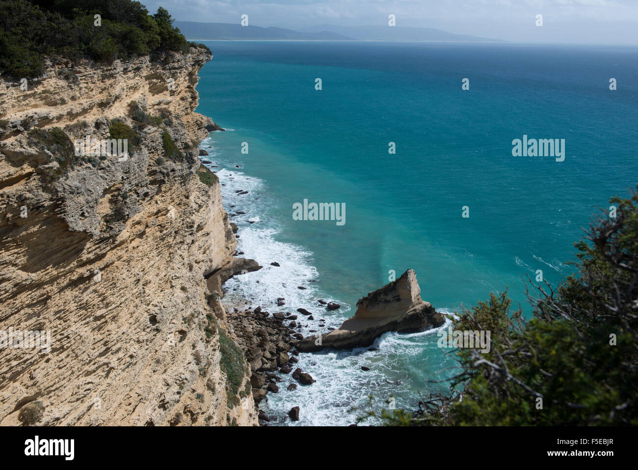 Felsige Klippen an der andalusischen Atlantikküste, Brena y Marismas de Barbate Park, Andalusien, Spanien Stockfoto