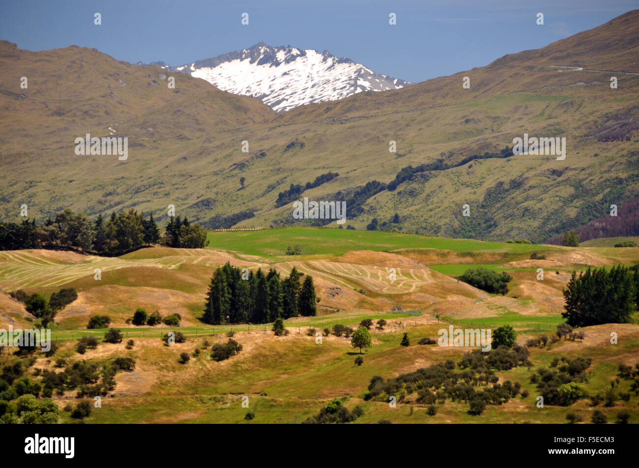 Blick auf die Landschaft von Alpine Road, in der Nähe von Queenstown, Südinsel, Neuseeland Stockfoto