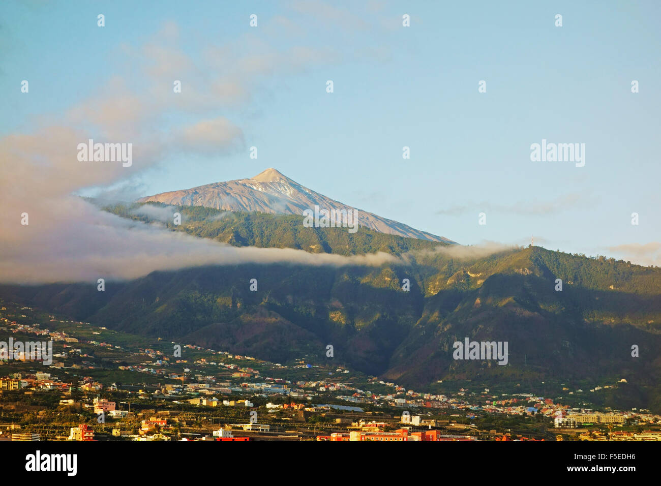 Pico del Teide und das Orotavatal, Teneriffa, Kanarische Inseln, Spanien, Atlantik, Europa Stockfoto