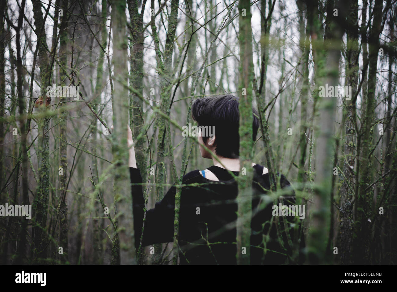 Rückansicht einer Frau im Wald verloren Stockfoto