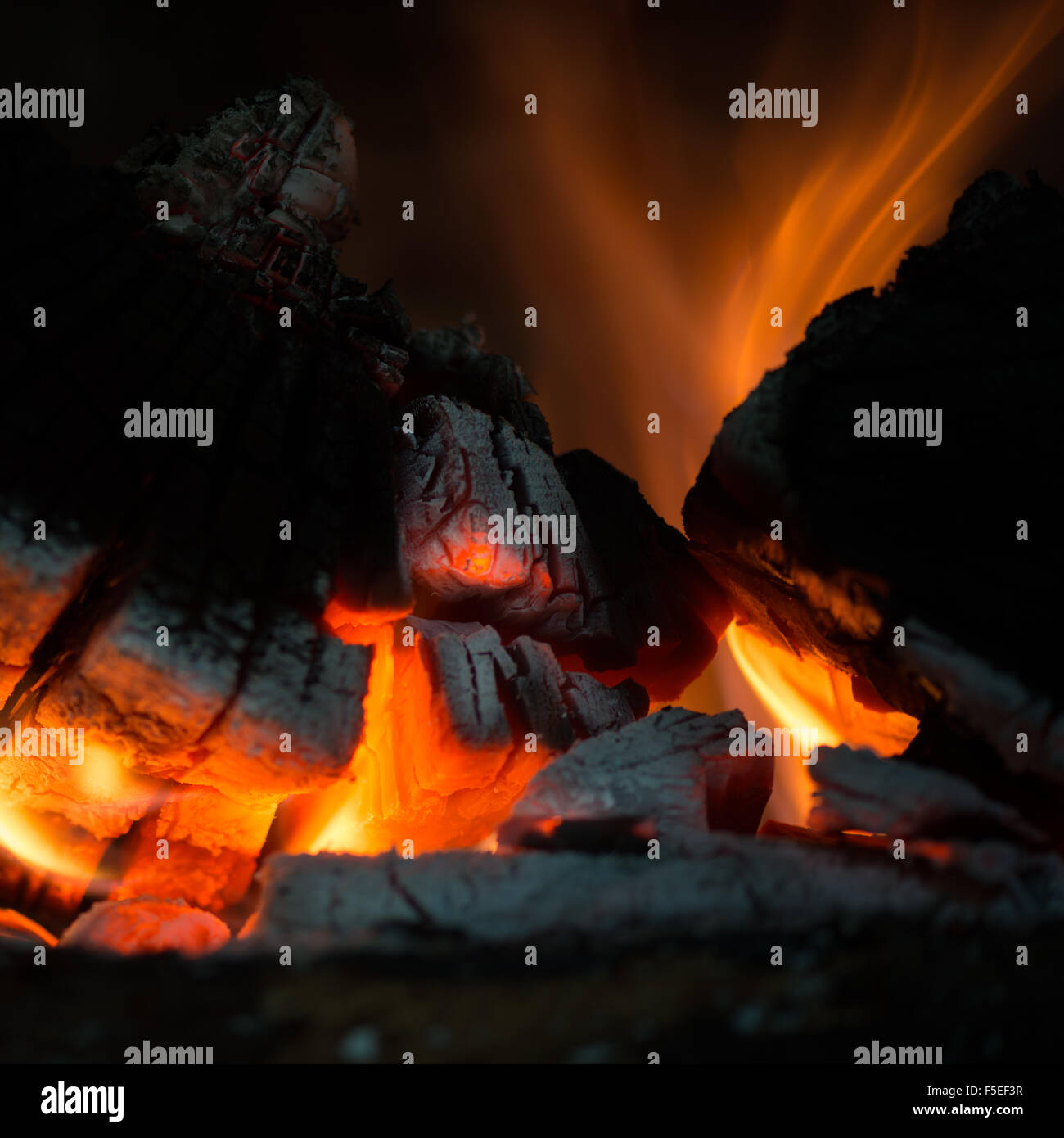 Nahaufnahme der Protokolle auf einem Feuer brennen Stockfoto