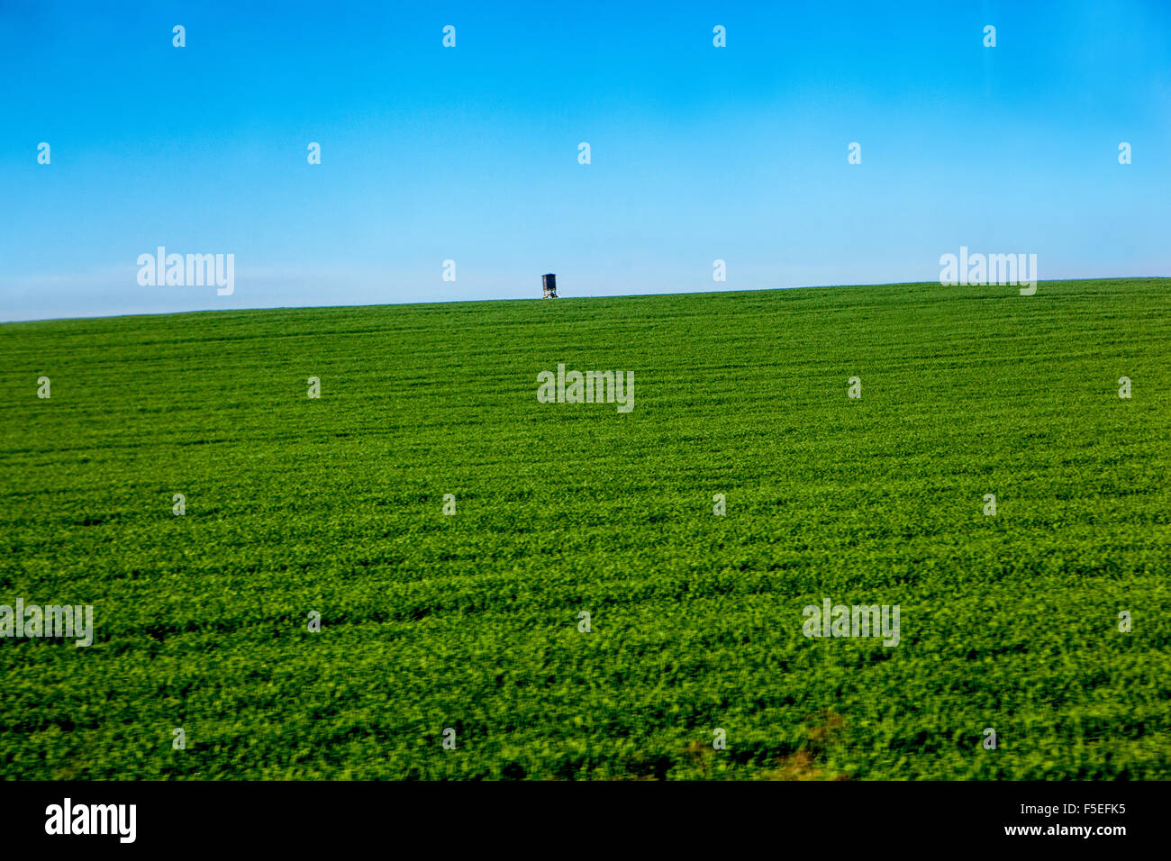 Jagd-Stand auf dem Lande, Frühling grünen Wiese, Tschechische Republik Stockfoto