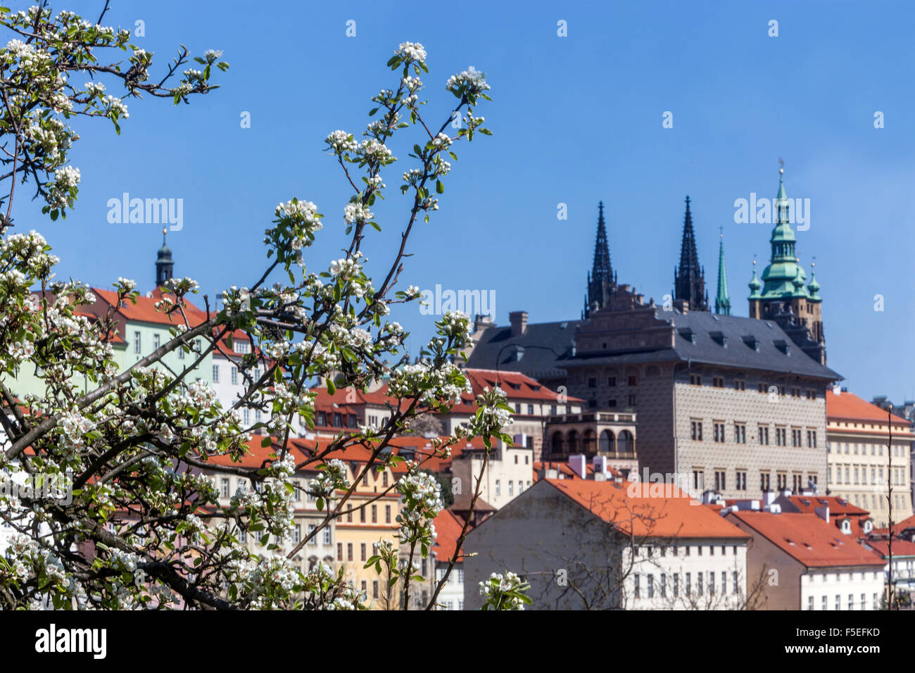 Blick auf die Prager Burg von Petrin Hill Prag, Frühling Tschechische Republik, Europa Stockfoto