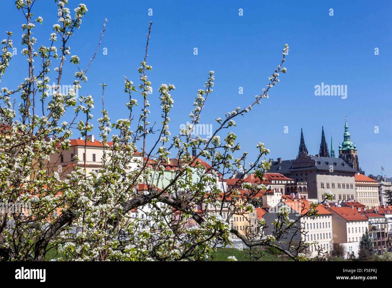 Prager Burg Prag Blick im Frühling Hradcany Bezirk Stockfoto