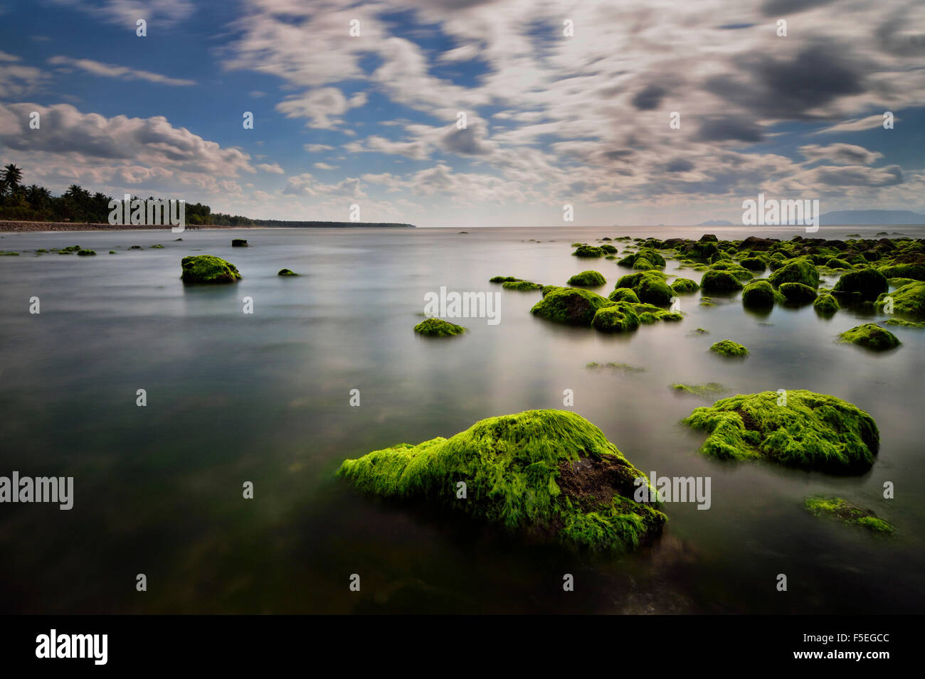Moos bedeckt Felsen am Strand, West Nusa Tenggara, Indonesien Stockfoto