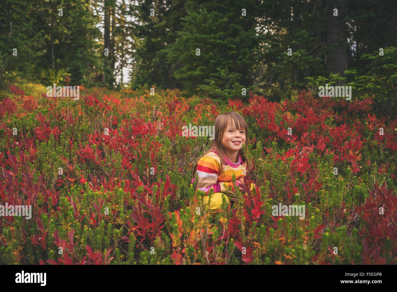 Lächelndes Mädchen in einem Feld von Blumen Stockfoto