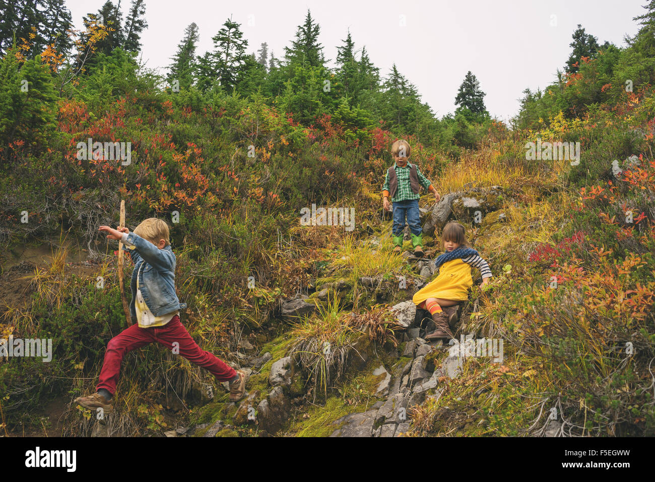 Drei Kinder, die einen Berg hinunter Stockfoto