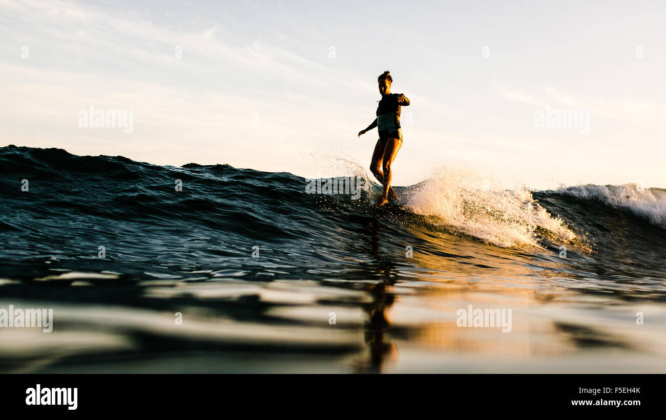 Frau Surfen, Malibu, Kalifornien, USA Stockfoto