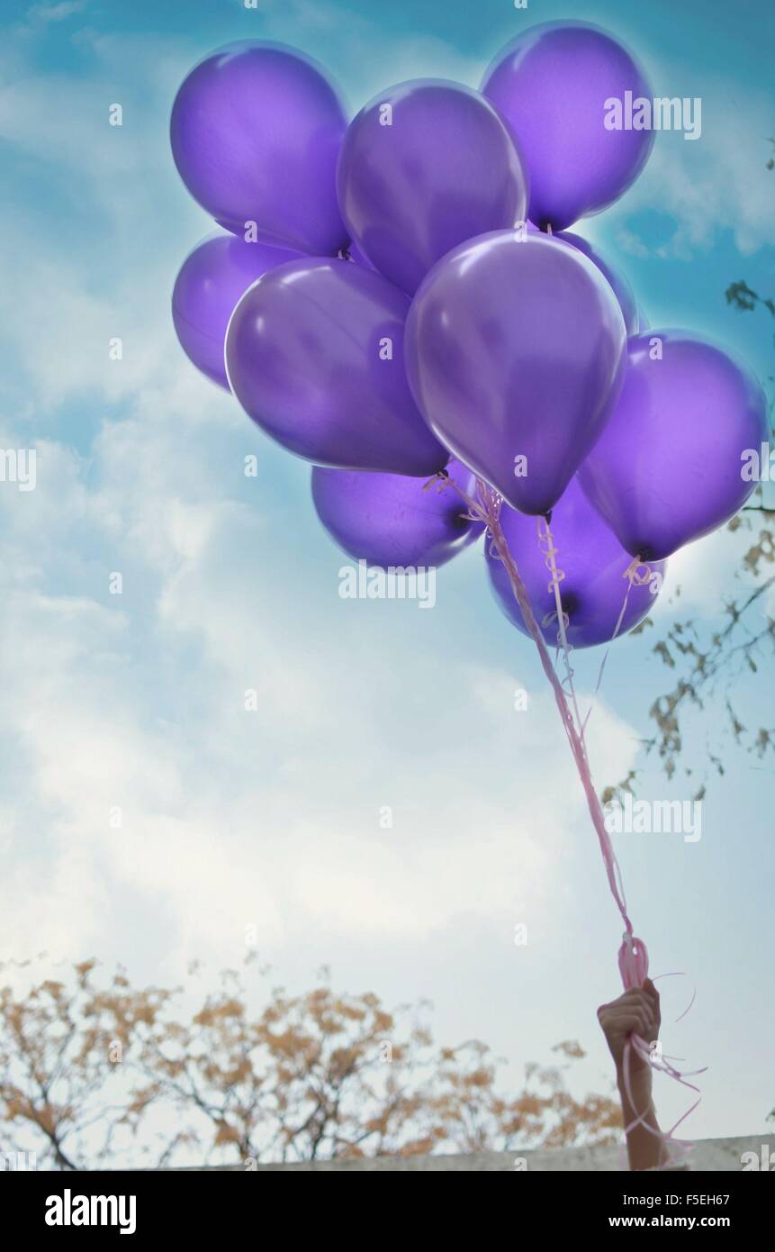 Menschliche Hand halten Haufen lila Luftballons Stockfoto