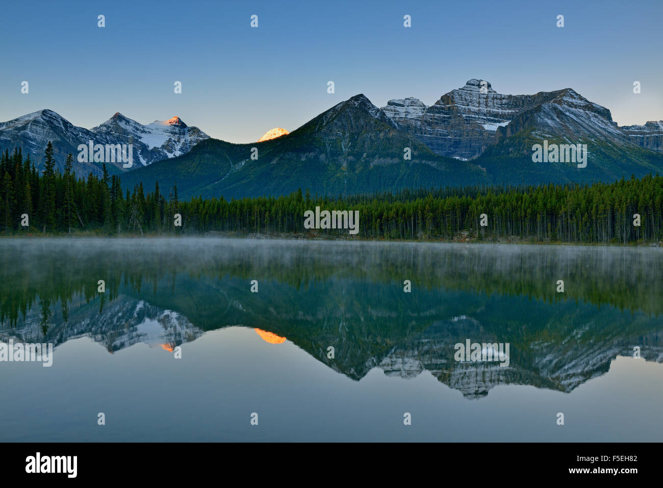 Der Bug-Bereich spiegelt sich in Herbert Lake in der Morgendämmerung, Banff Nationalpark, Alberta, Kanada Stockfoto