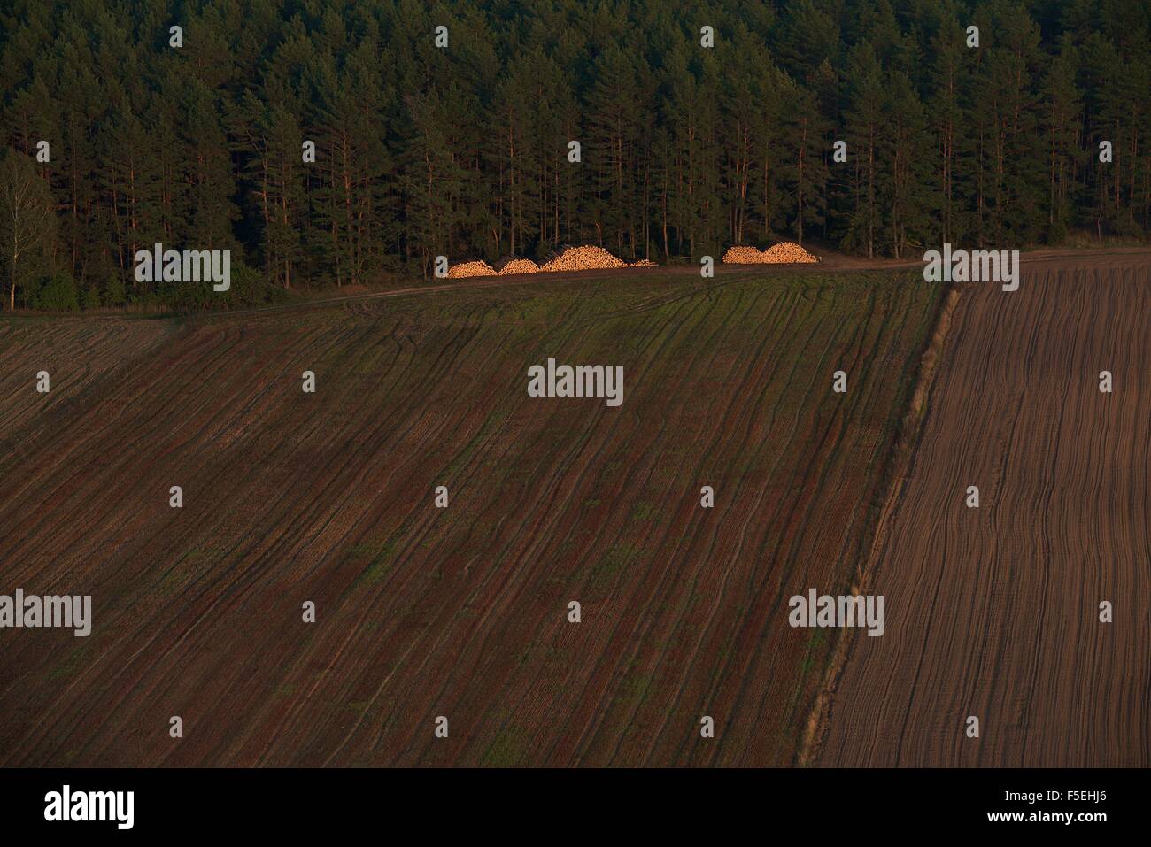 Luftaufnahme der Felder im Herbst, Litauen Stockfoto