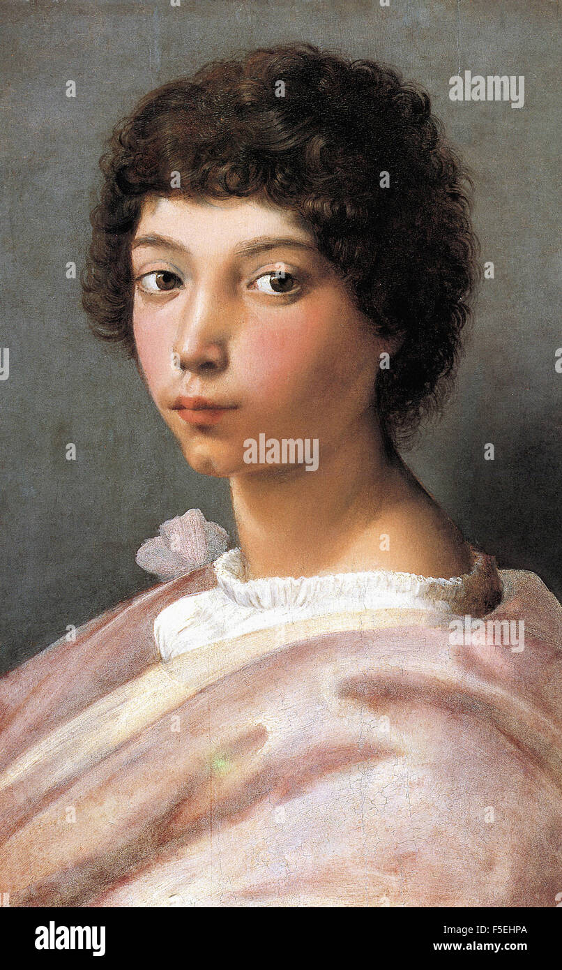 Junges raffaello Fotos und Bildmaterial in hoher Auflösung Alamy