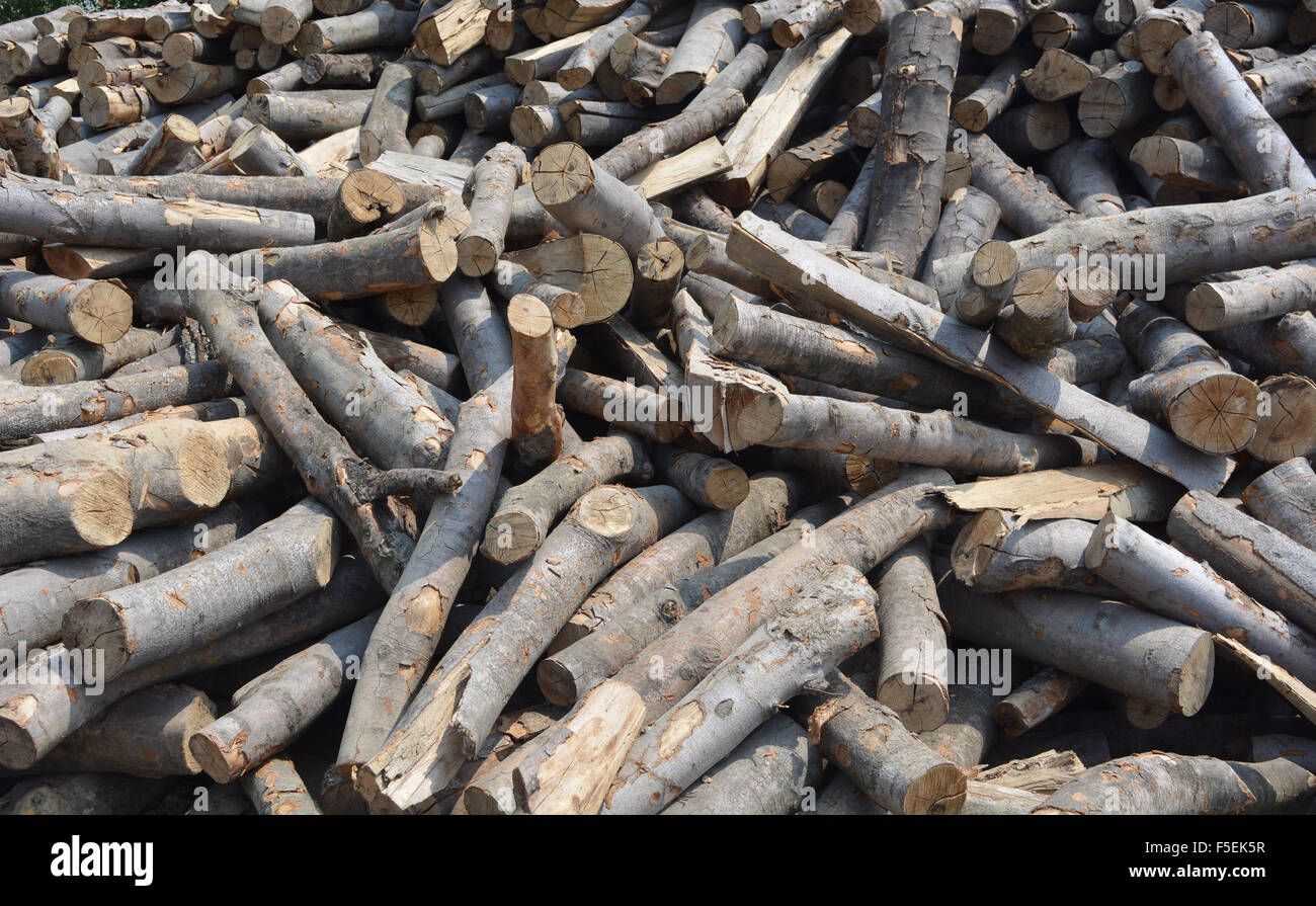 Holzschnitt auf dem Betriebshof des Protokolls und zum Verkauf bereit. Stockfoto