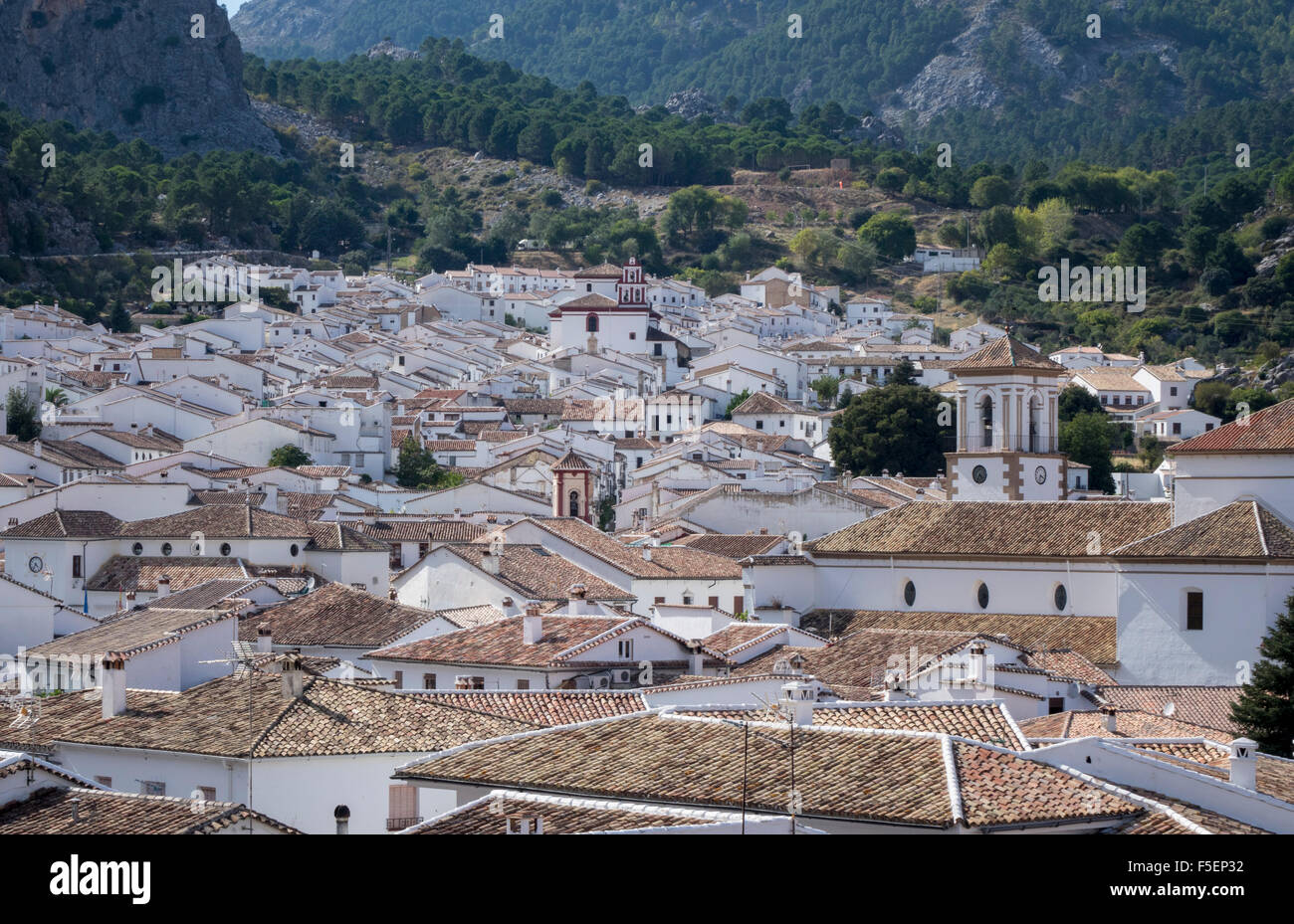 Weiß gestrichene Häuser und Ziegeldach des berühmten Hügel Stadt von Grazalema in Region Cadiz, Andalusien, Spanien Stockfoto