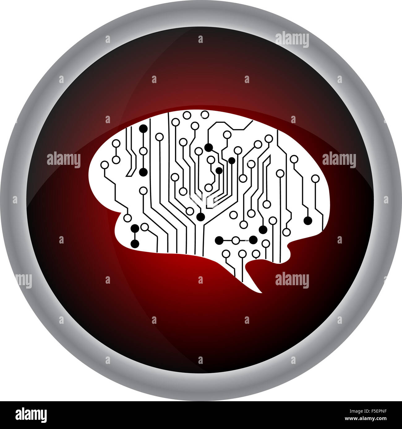 Vektorgrafik-Gliederung des menschlichen Gehirns auf weißem Hintergrund Stockfoto