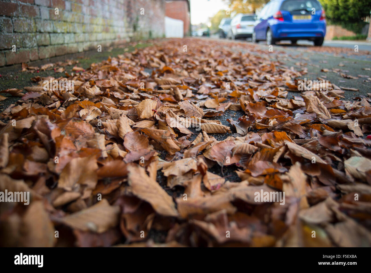 Laub auf dem Bürgersteig Stockfoto