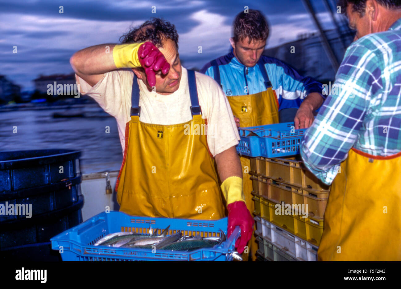 90 / 5000 výsledky překladu Fischer am Morgen entladen den Fang aus dem Boot, frischer Fisch in der Nacht gefangen, kroatischen Hafen von Rijeka Stockfoto