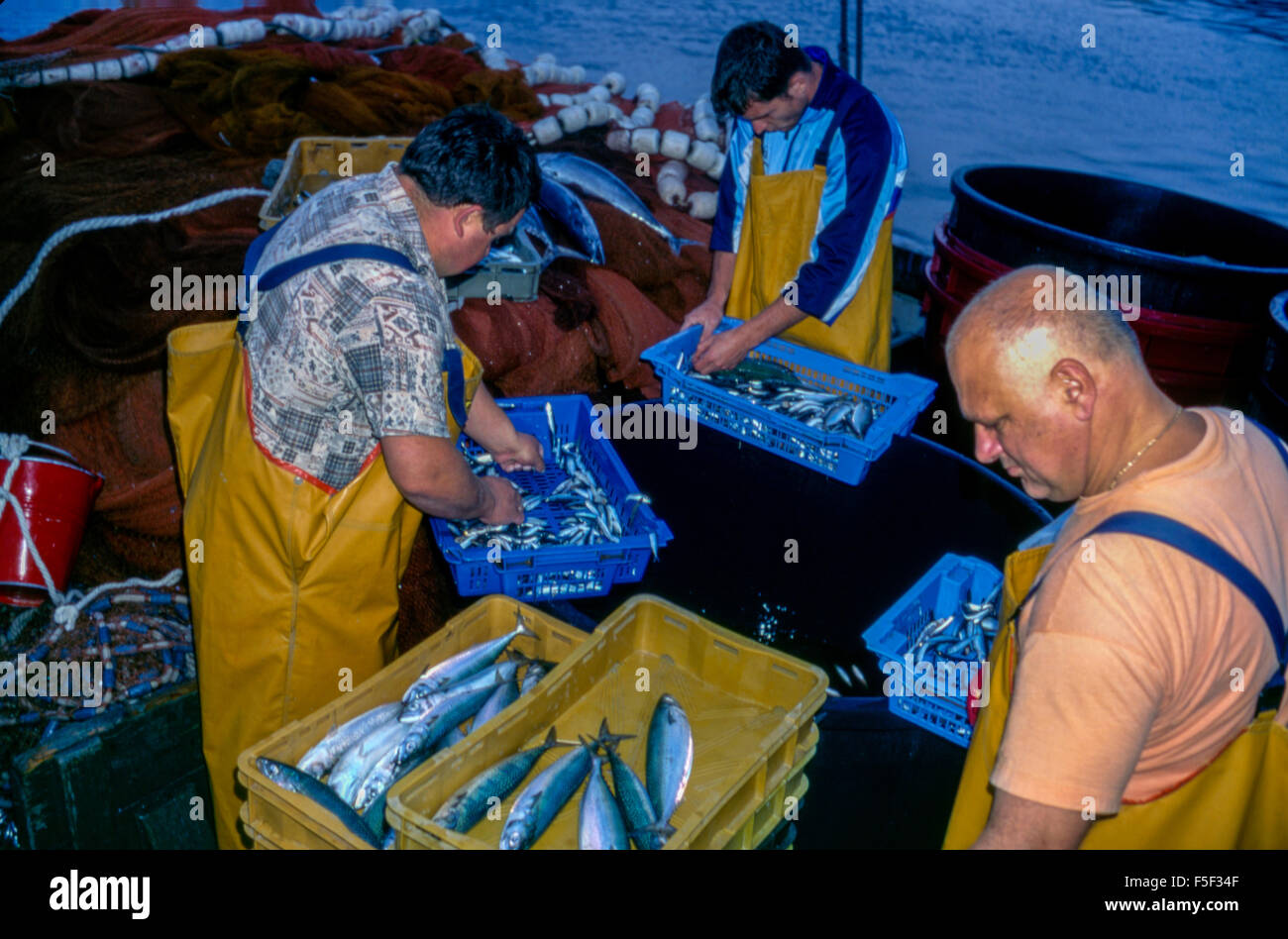 90 / 5000 výsledky překladu Fischer am Morgen entladen den Fang aus dem Boot, frischer Fisch in der Nacht gefangen, kroatischen Hafen von Rijeka Stockfoto