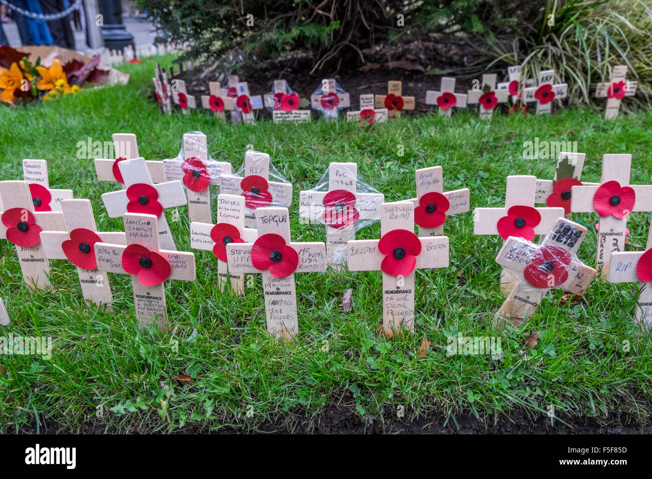 Kleine Kreuze mit Mohnblumen auf in einen Garten der Erinnerung für Tag des Waffenstillstands Stockfoto