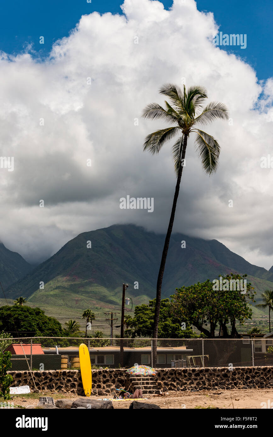 Lahaina-Bereich von Maui, Hawaii Stockfoto