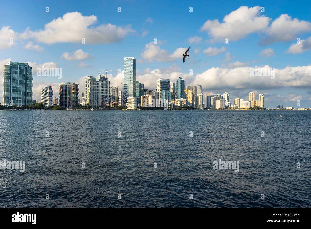 Brickell Skyline in Miami, Florida Stockfoto