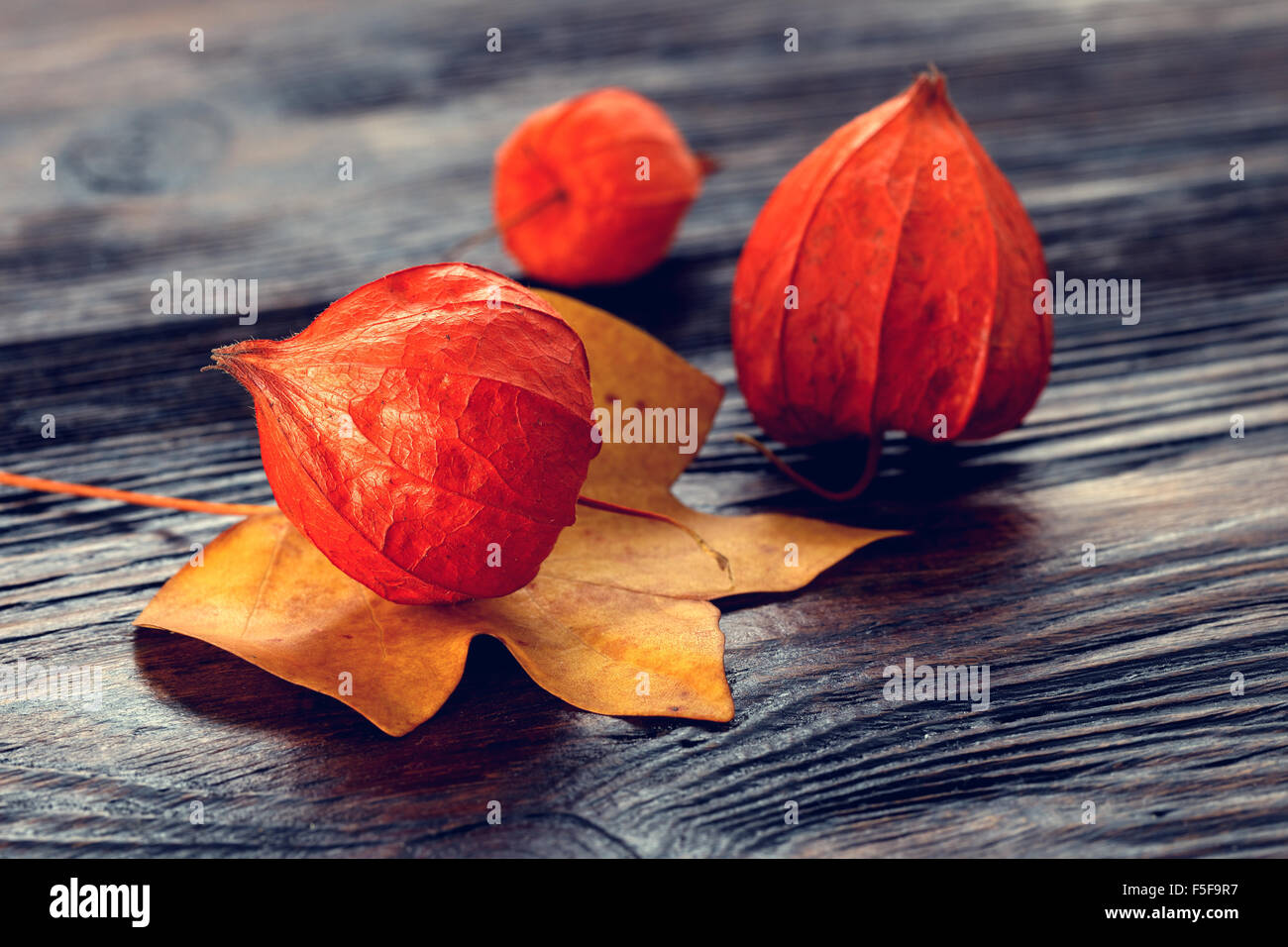 Reife Physalis auf einem Holztisch Stockfoto