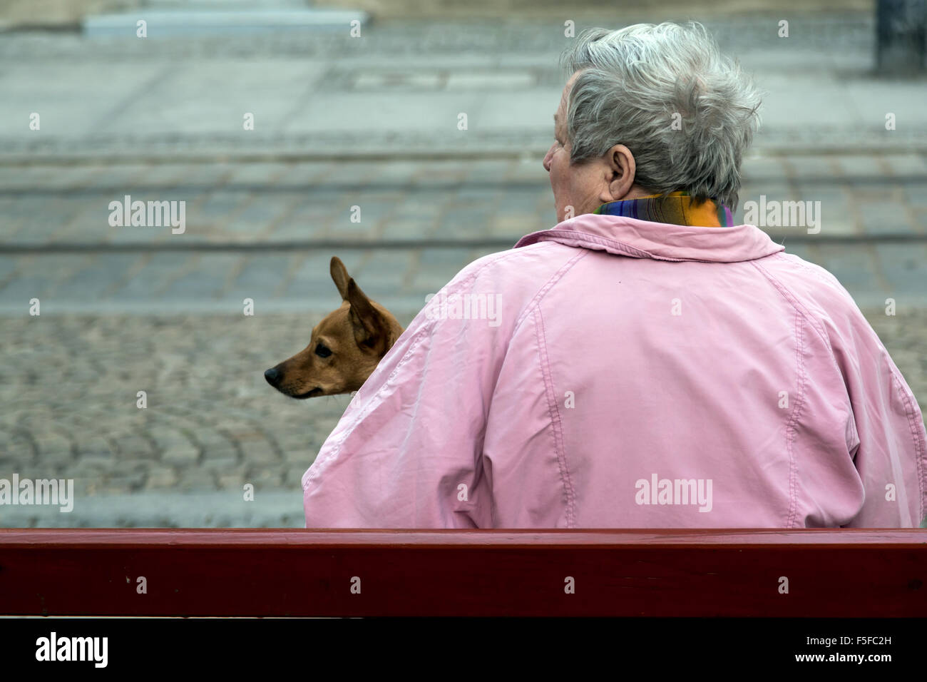 Wroclaw, Polen, ältere Dame mit Hund auf einer Bank Stockfoto