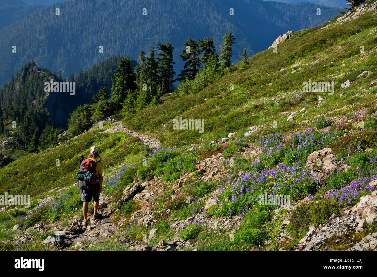 WASHINGTON - Wanderer unter Tin Pan Lücke im Bereich Boulder River Wilderness des Mount Baker-Snoqualmie National Forest. Stockfoto