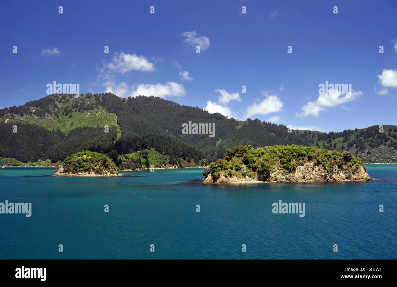 Inseln und Küste am Queen Charlotte Sound in der Nähe von Picton, Marlborough Region, Südinsel, Neuseeland Stockfoto
