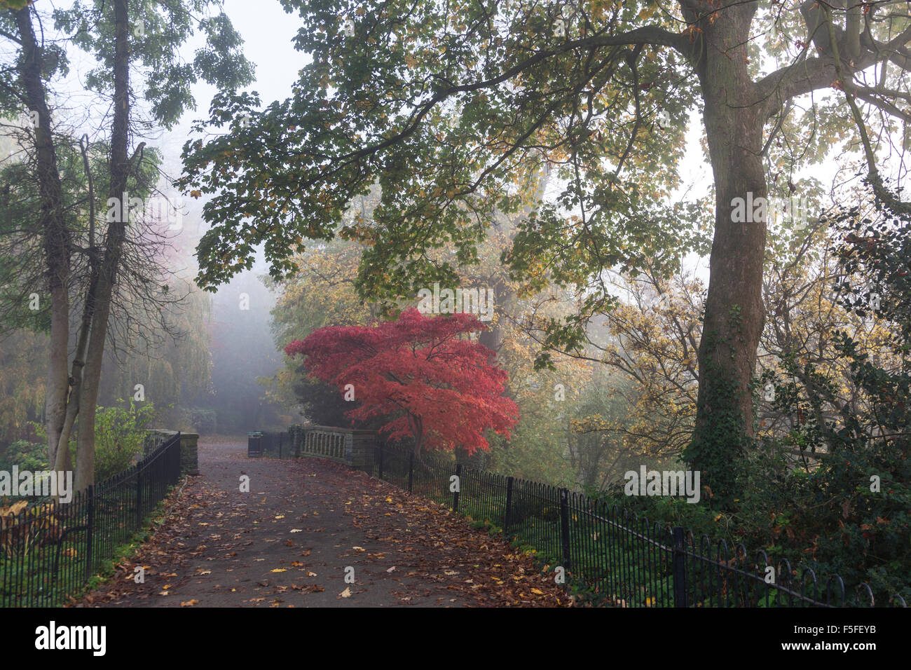 Waterlow Park im Nebel, Nord-London, UK Stockfoto
