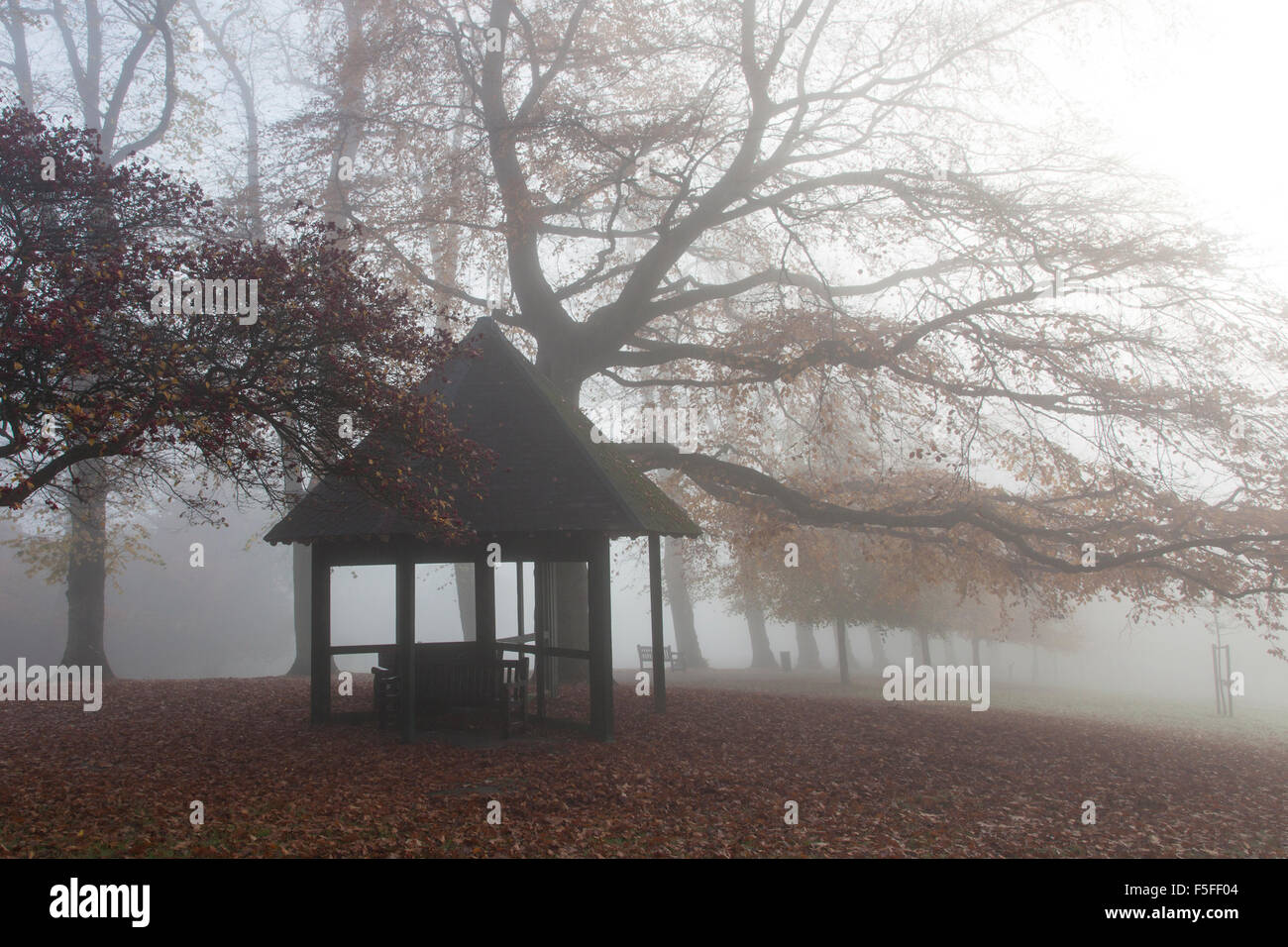 Waterlow Park im Nebel, Nord-London, UK Stockfoto