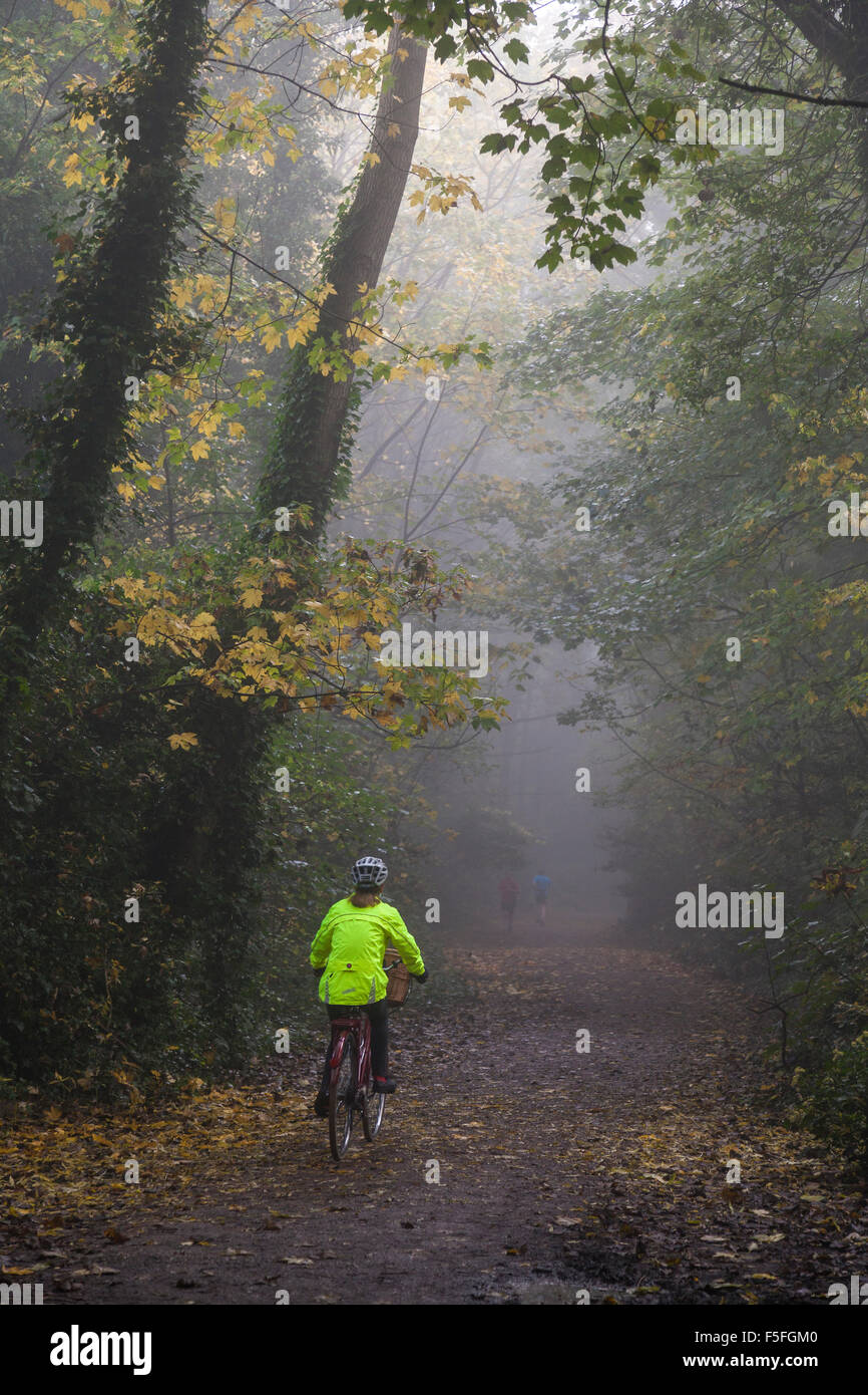 Parkland gehen in Highgate an einem nebligen Morgen, London, UK Stockfoto
