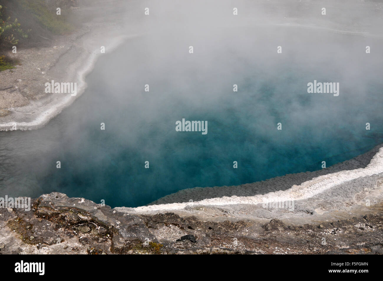 Thermalquelle, Whakarewarewa Maori Dorf, Rotorua, Nordinsel, Neuseeland Stockfoto