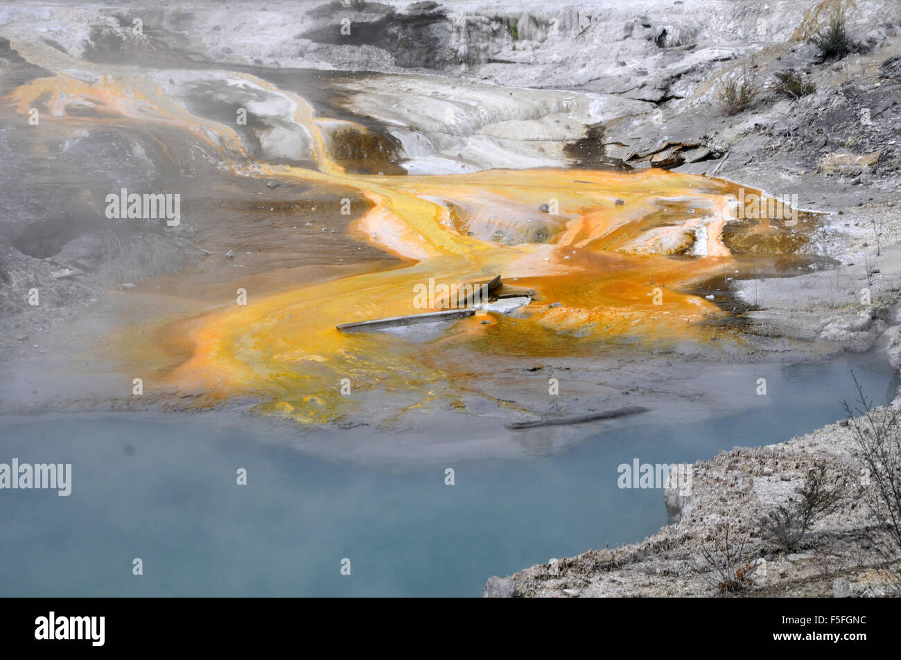 Thermalquelle, Whakarewarewa Maori Dorf, Rotorua, Nordinsel, Neuseeland Stockfoto