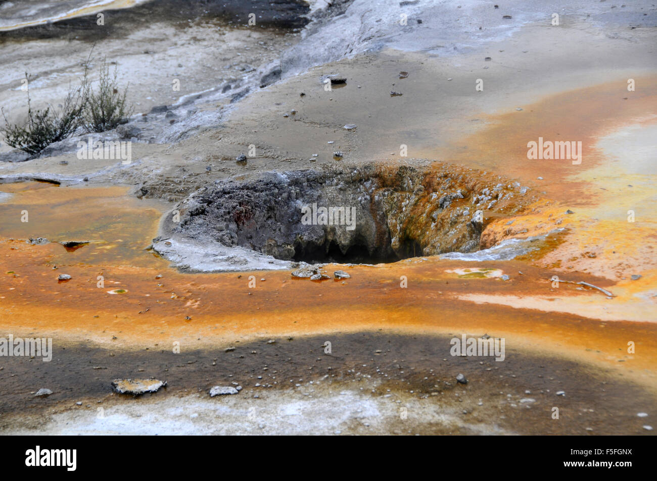 Thermalquelle, Whakarewarewa Maori Dorf, Rotorua, Nordinsel, Neuseeland Stockfoto