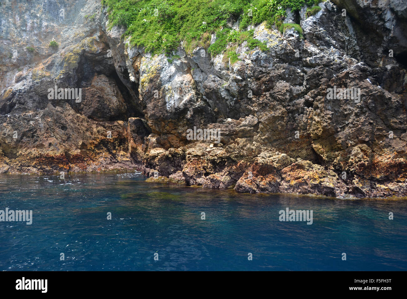 Detail der Küstenlinie, Poor Knights Islands, Bay of Islands, Nordinsel, Neuseeland Stockfoto