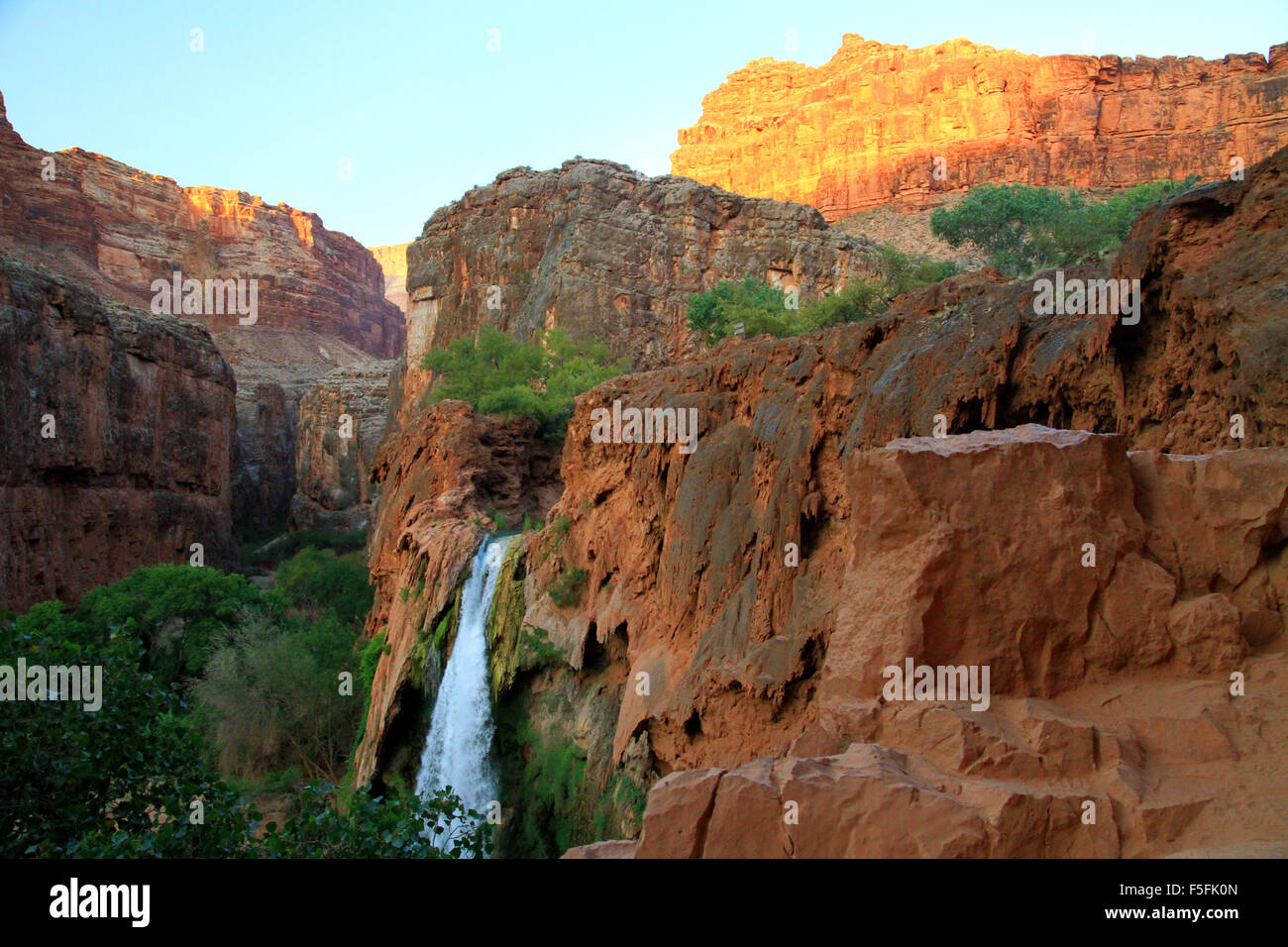 Majestätische Havasu fällt in der Havasupai-Region des Grand Canyon in Arizona Stockfoto