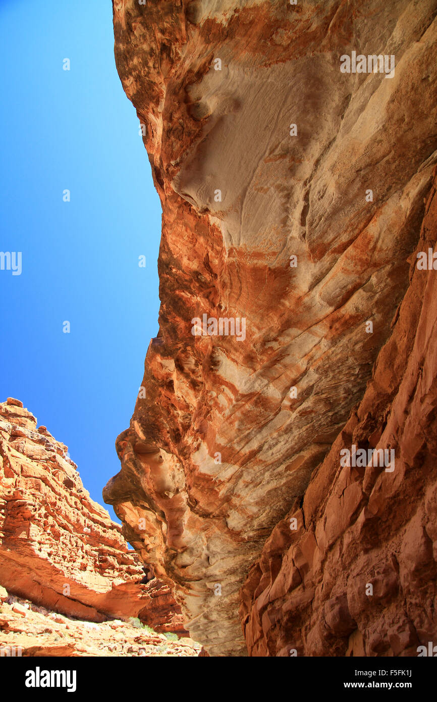 Wandern nach Havasu fällt auf die Havasupai Indian Reservation in den Grand Canyon National Park, USA Stockfoto